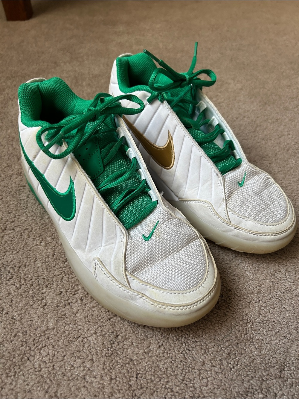 Nike LeBron Witness with Green and Gold Swooshes